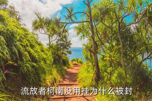 流放者柯南主播,黑曜石塊可通過(guò)召喚南壇獲得流放湖南npc...